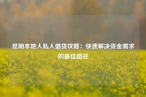 曲靖本地人私人借贷攻略：快速解决资金需求的最佳路径 曲靖本地人私人借钱怎么借 曲靖私借  第1张