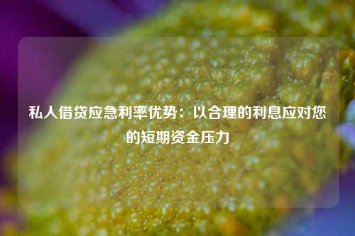 私人借贷应急利率优势：以合理的利息应对您的短期资金压力 私人借贷应急 曲靖空放  第1张