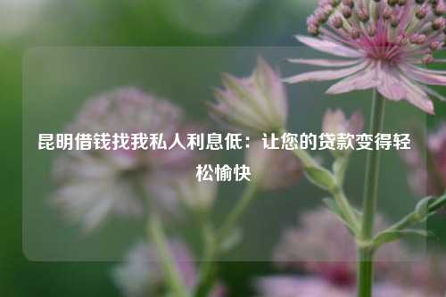 曲靖借钱找我私人利息低：让您的贷款变得轻松愉快