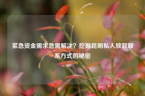 紧急资金需求急需解决？曲靖私人放款联系方式 曲靖私人当面借钱的地方 曲靖私人借钱  第1张