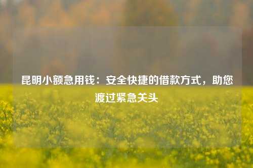 曲靖小额急用钱：安全快捷的借款方式，助您渡过紧急关头