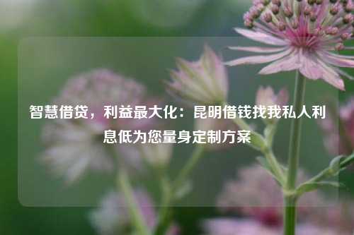 智慧借贷，利益最大化：曲靖借钱找我私人利息低为您量身定制方案