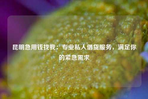 曲靖急用钱找我：专业私人借贷服务，满足你的紧急需求 曲靖急用钱找我 曲靖空放  第1张