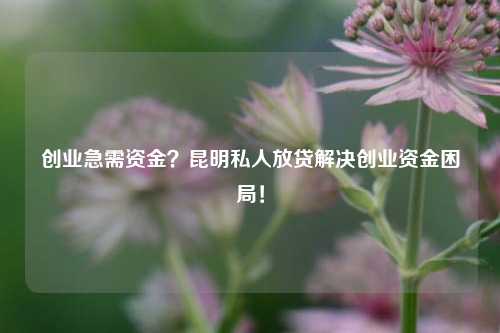 创业急需资金？曲靖私人放贷解决创业资金困局！ 曲靖私人放贷 曲靖私人借钱  第1张