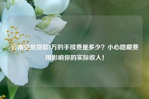 云南空放贷款1万的手续费是多少？小心隐藏费用影响你的实际收入！