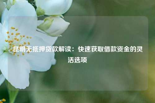 曲靖无抵押贷款解读：快速获取借款资金的灵活选项 曲靖无抵押私借公司 曲靖私借  第1张