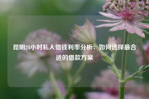 曲靖24小时私人借钱利率分析：如何选择最合适的借款方案