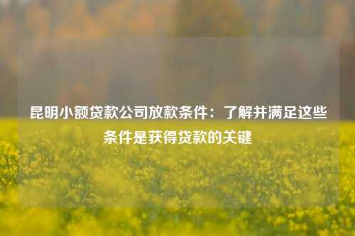 曲靖小额贷款公司放款条件：了解并满足这些条件是获得贷款的关键