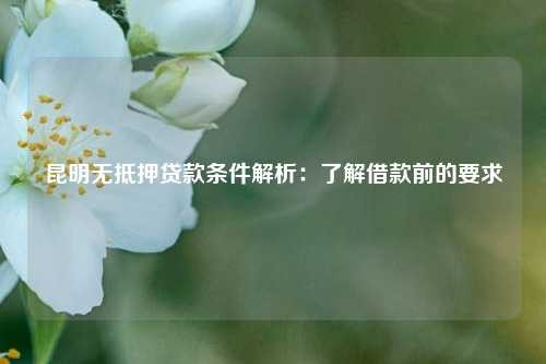 曲靖无抵押贷款条件解析：了解借款前的要求 曲靖无抵押贷款条件解析 曲靖空放  第1张