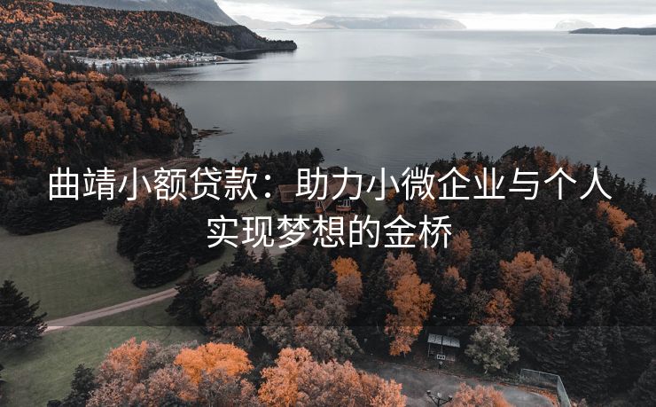曲靖小额贷款：助力小微企业与个人实现梦想的金桥 曲靖小额贷款 曲靖私人借钱  第1张