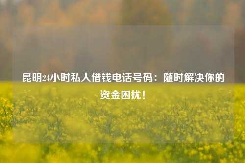 曲靖24小时私人借钱电话号码：随时解决你的资金困扰！ 曲靖24小时私人借钱电话号码 曲靖私人借钱  第1张