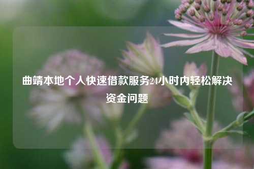 曲靖本地个人快速借款服务24小时内轻松解决资金问题 曲靖本地个人快速借款 曲靖个人借钱  第3张